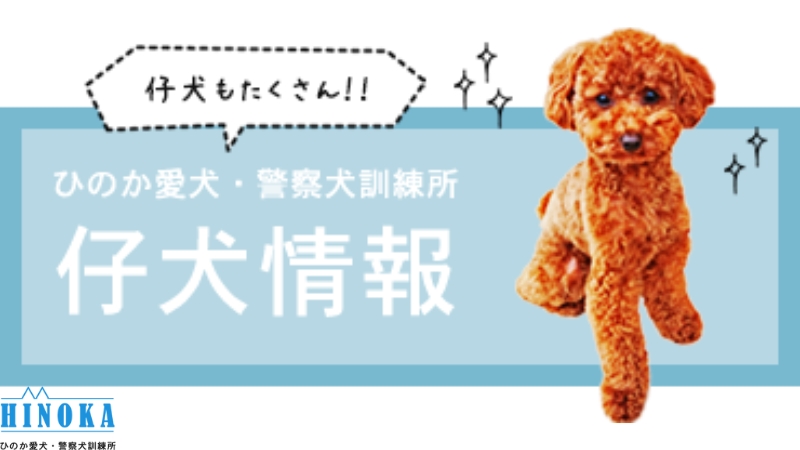 ひのか愛犬警察犬訓練所の写真